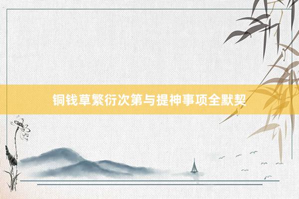 铜钱草繁衍次第与提神事项全默契