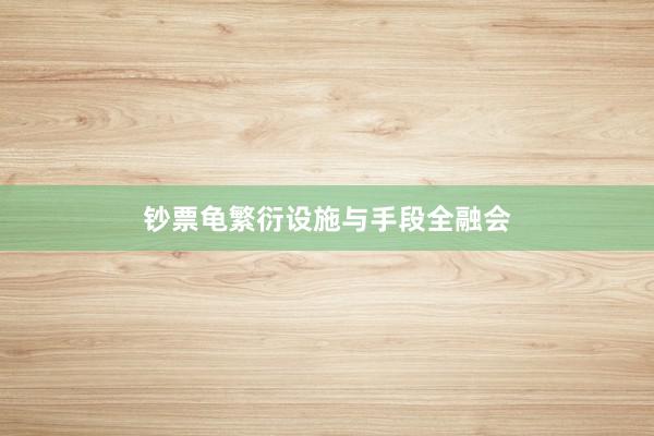 钞票龟繁衍设施与手段全融会