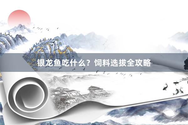 银龙鱼吃什么？饲料选拔全攻略