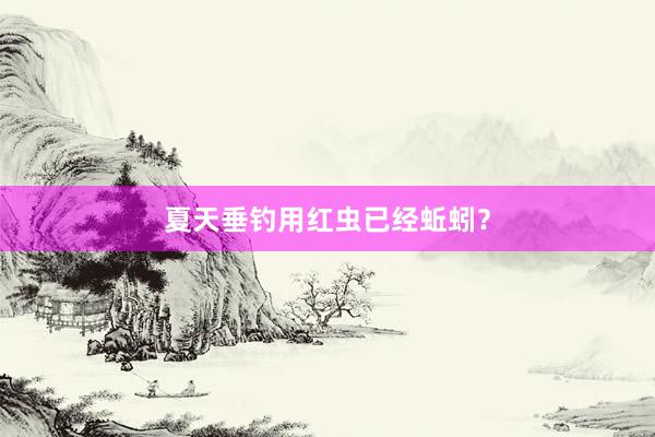 夏天垂钓用红虫已经蚯蚓？