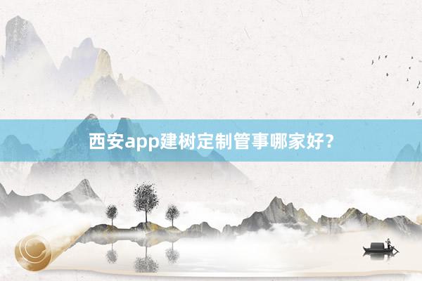 西安app建树定制管事哪家好？