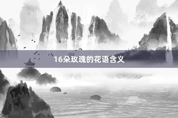 16朵玫瑰的花语含义