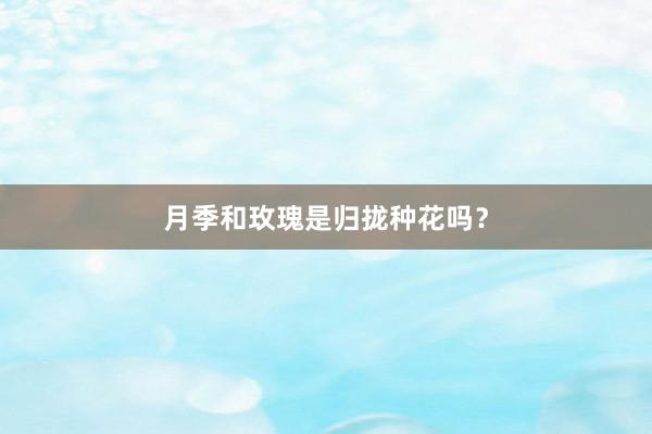 月季和玫瑰是归拢种花吗？