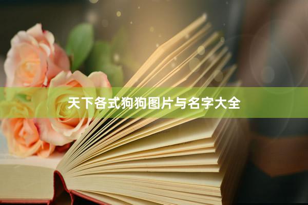 天下各式狗狗图片与名字大全