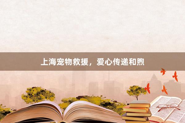 上海宠物救援，爱心传递和煦