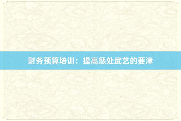 财务预算培训:提高惩处武艺的要津
